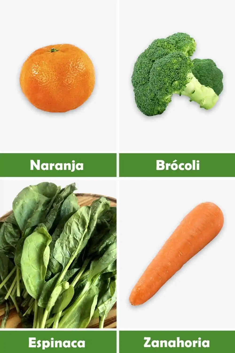 NARANJA, BROCOLI, ESPINACA, ZANAHORIA