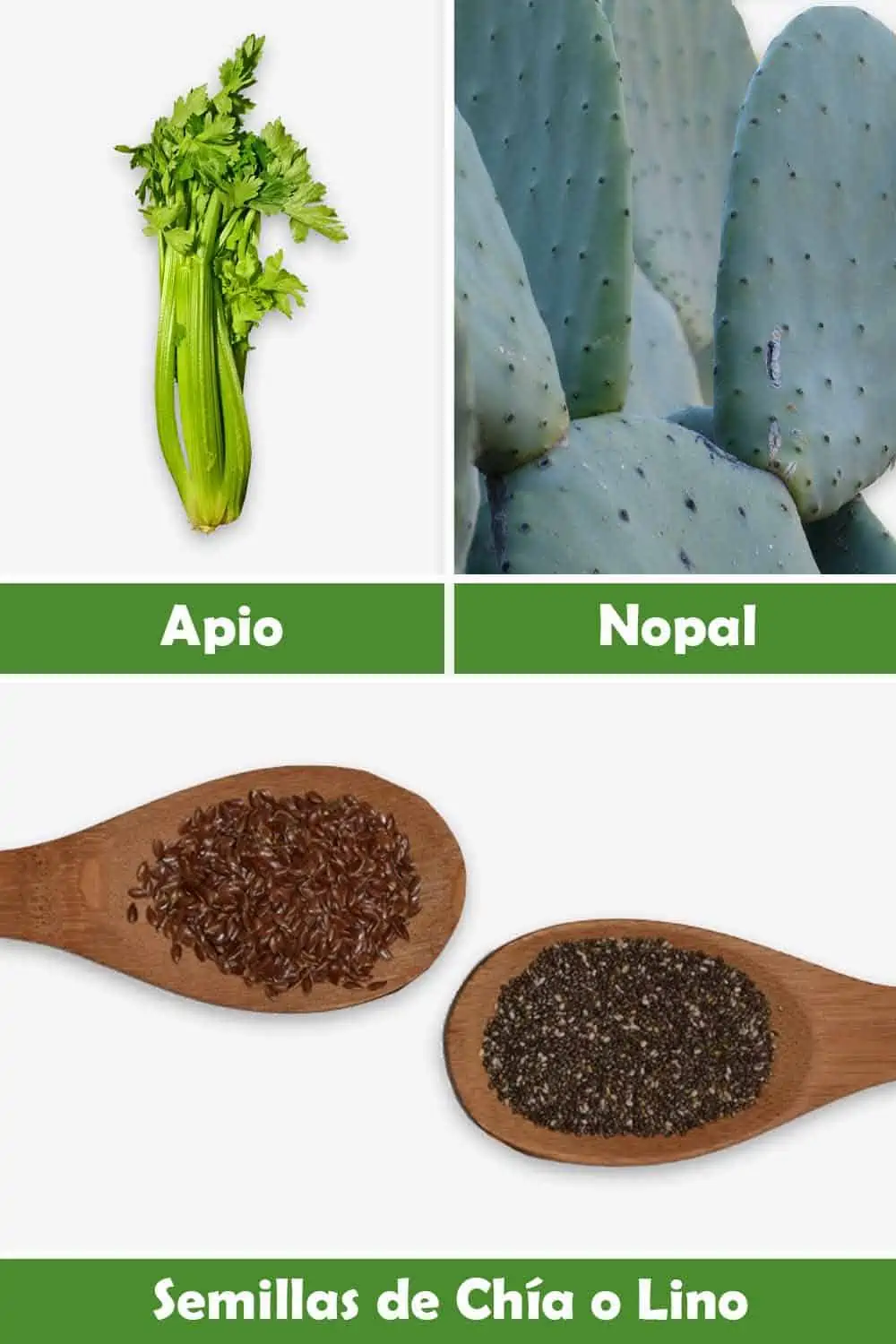 APIO, NOPAL Y SEMILLAS DE CHÍA O LINO