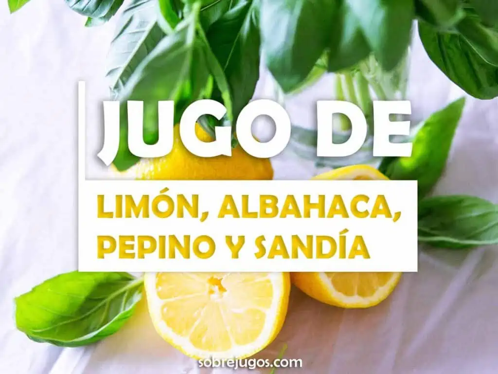 JUGO DE LIMÓN, PEPINO, ALBAHACA Y SANDÍA