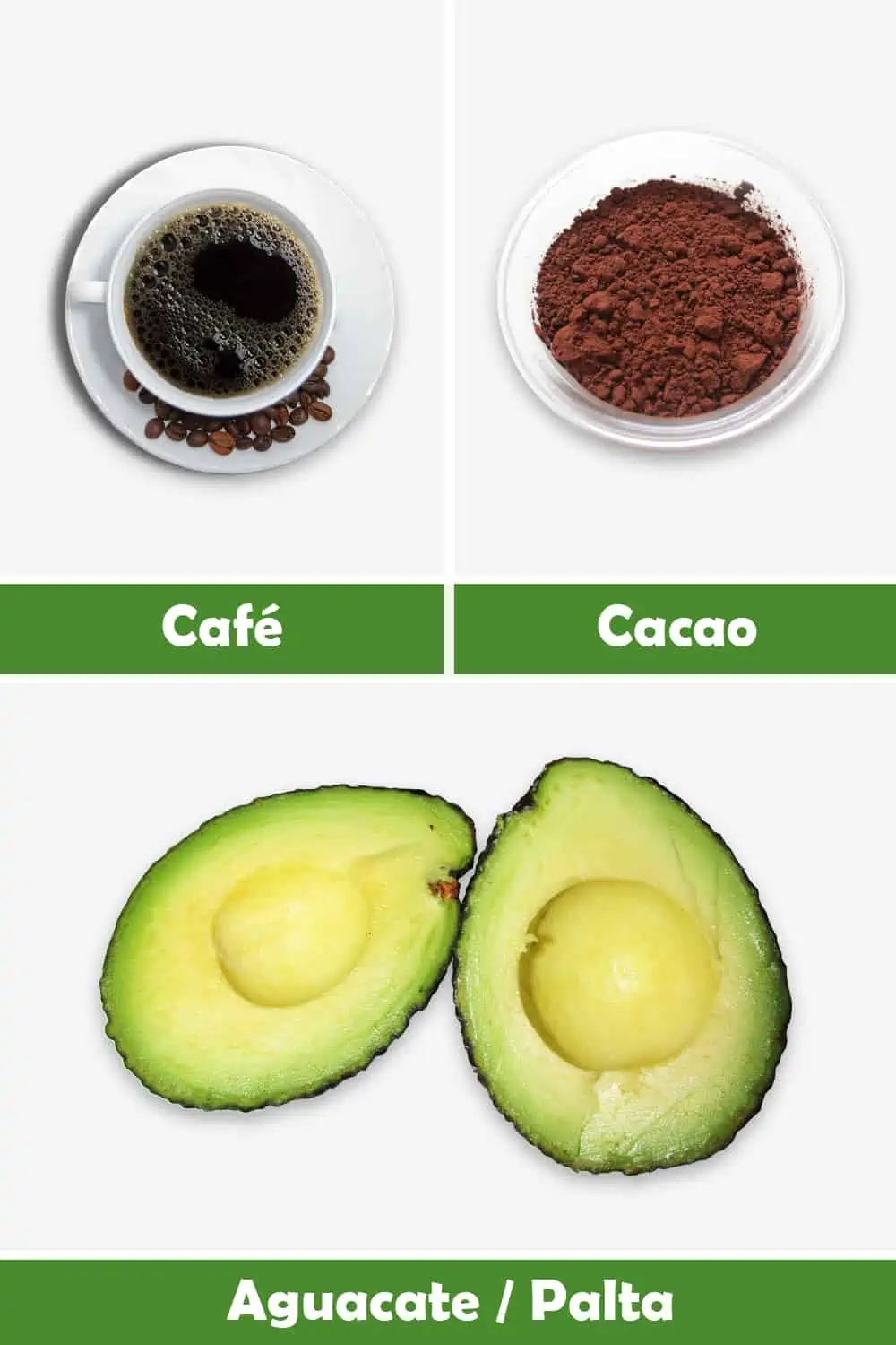 CAFÉ, CACAO Y AGUACATE