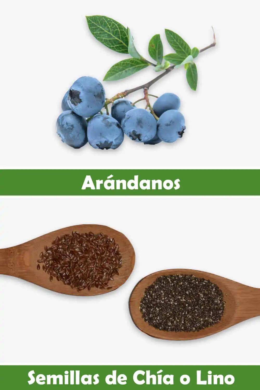 ARÁNDANOS Y SEMILLAS DE CHÍA O LINO