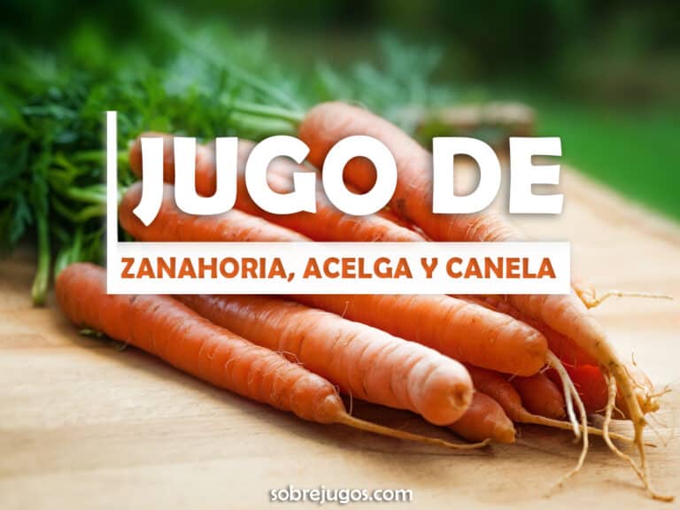 JUGO DE ZANAHORIA, ACELGA Y CANELA