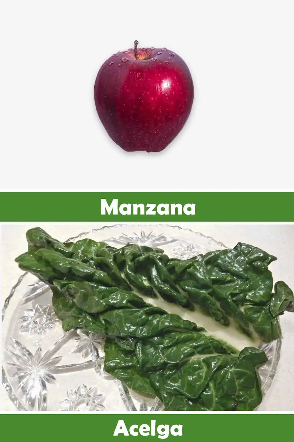MANZANA Y ACELGA