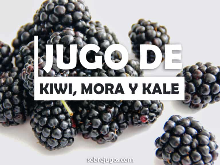 JUGO DE KIWI, MORA Y KALE