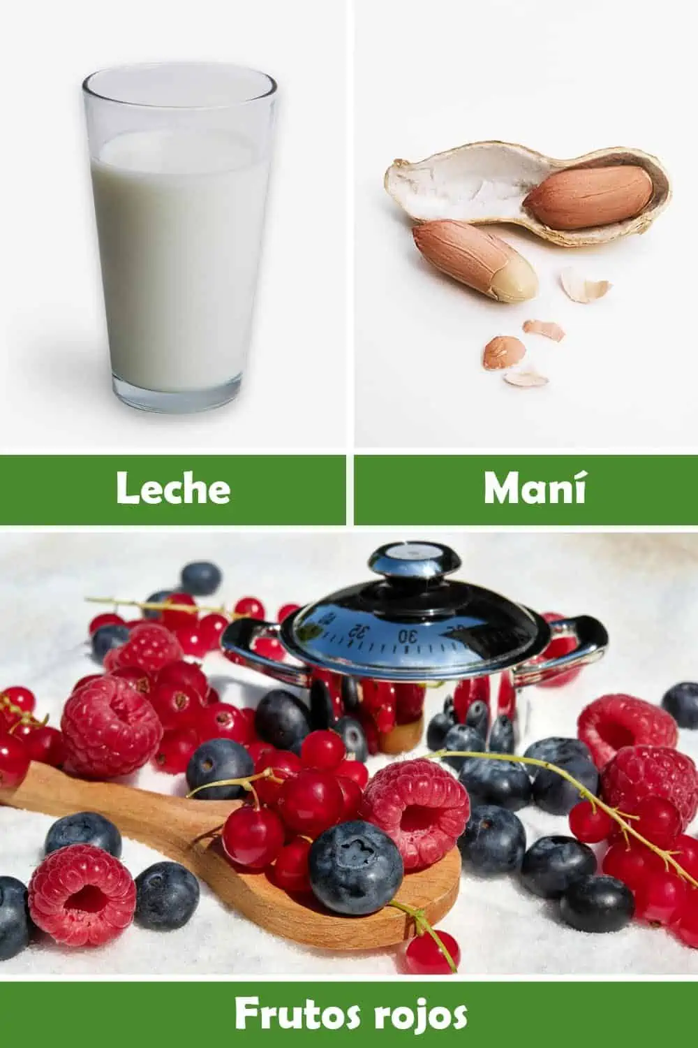 MANÍ, FRUTOS ROJOS Y LECHE
