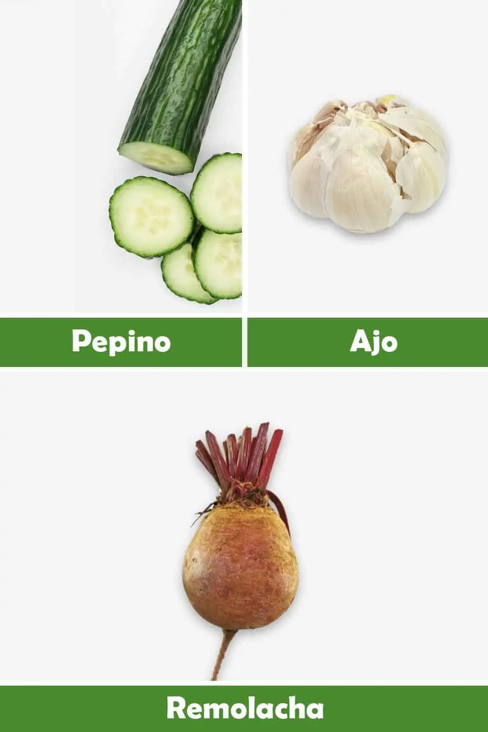 PEPINO, AJO Y REMOLACHA