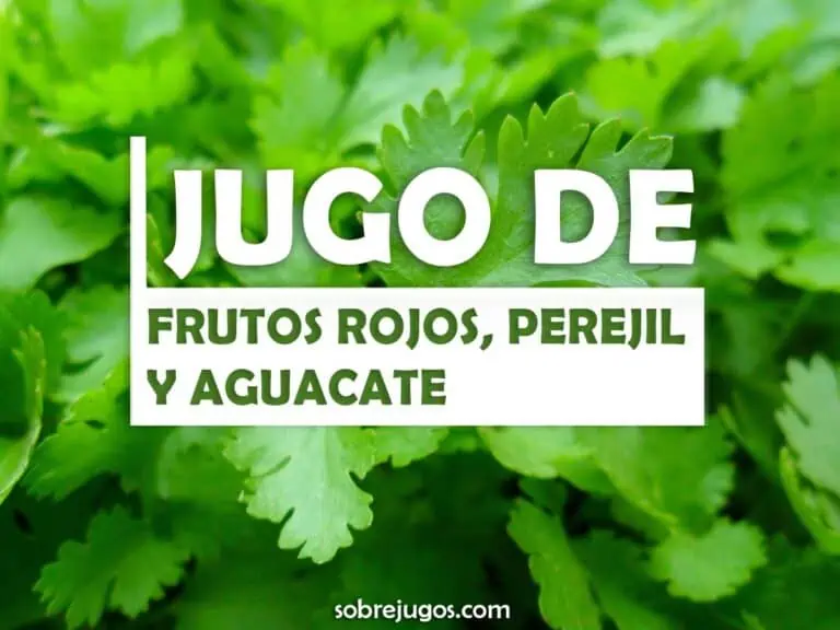 JUGO DE FRUTOS ROJOS, PEREJIL Y AGUACATE