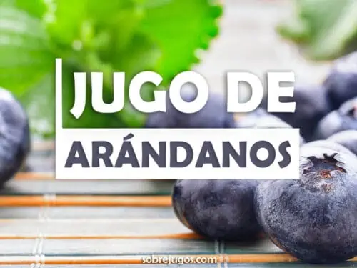 JUGO DE ARÁNDANOS