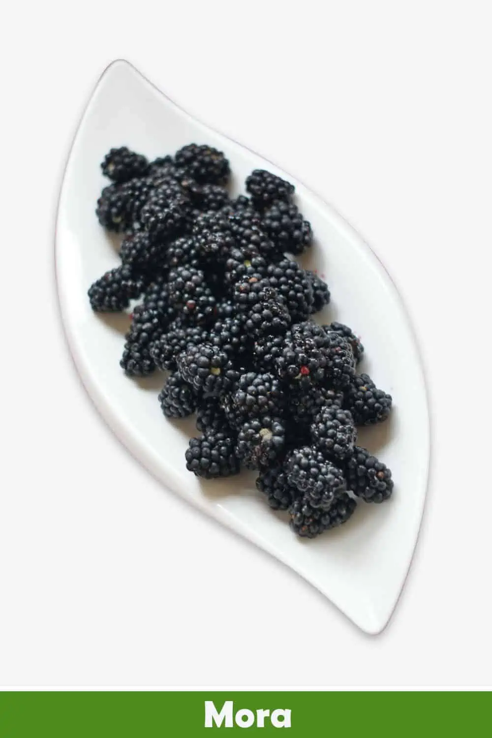 MORAS