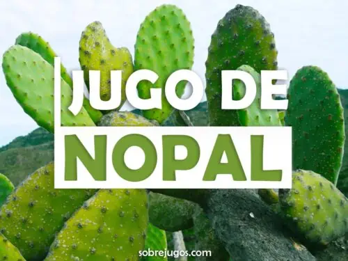 JUGO DE NOPAL