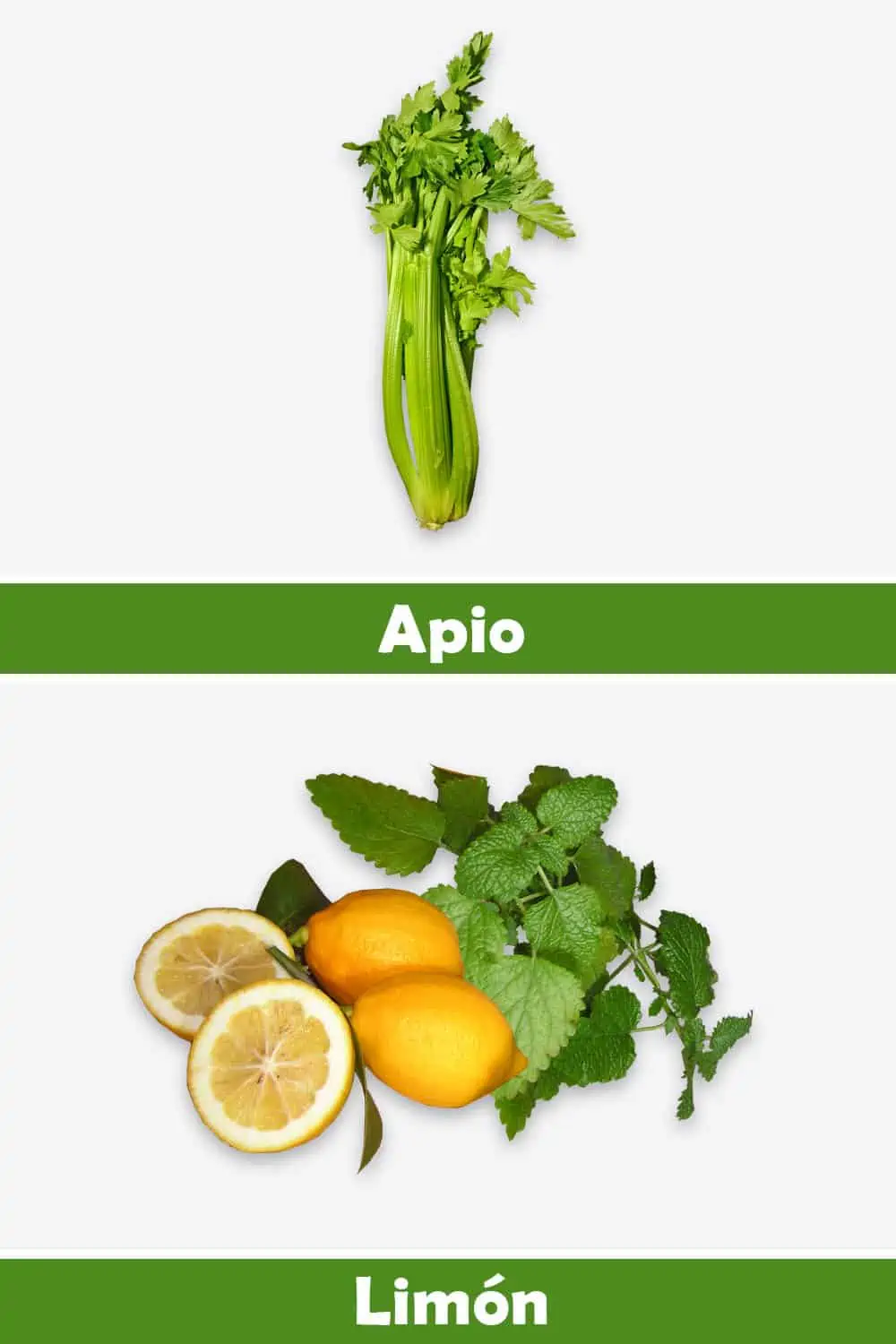 APIO Y LIMÓN