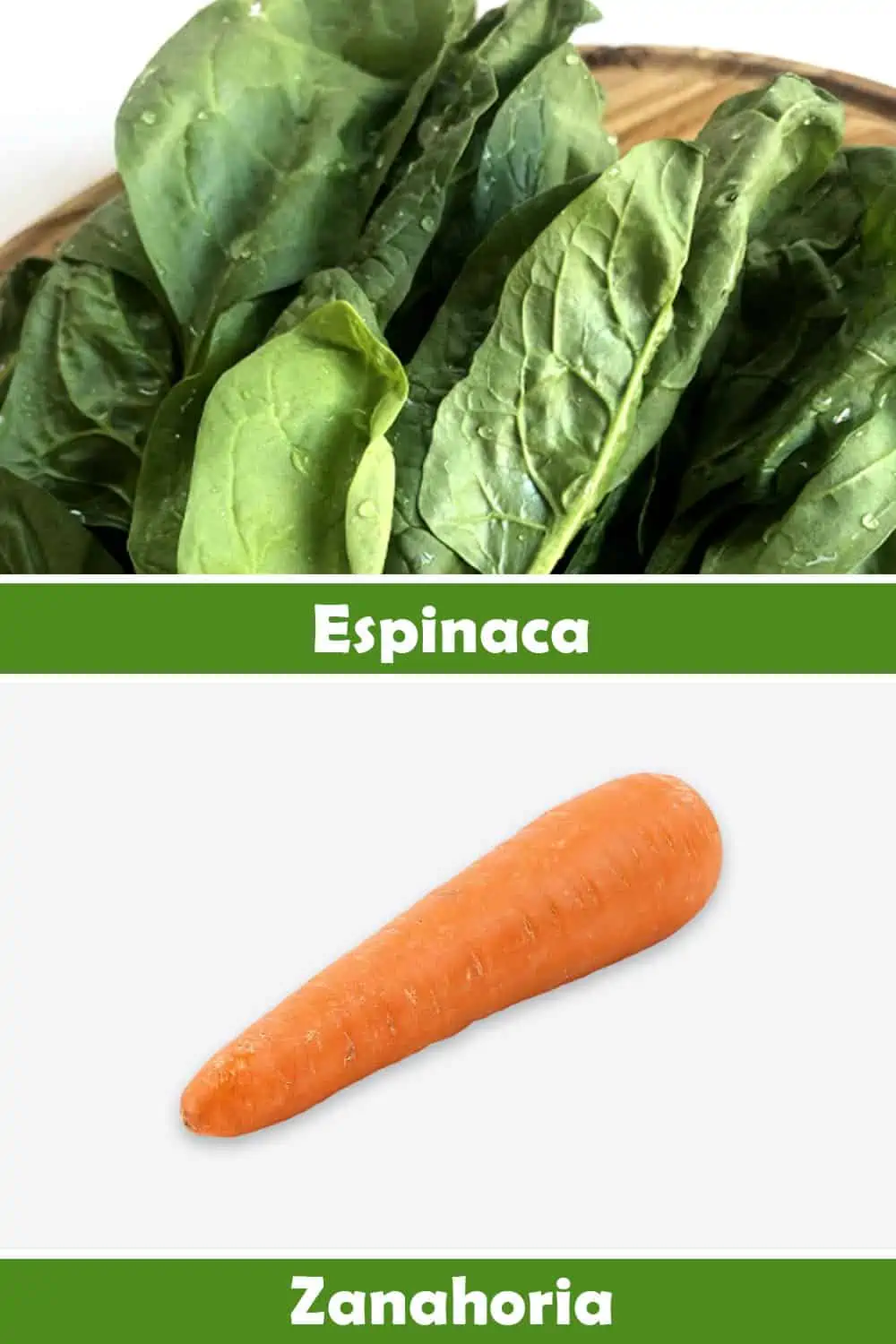 ESPINACA Y ZANAHORIA
