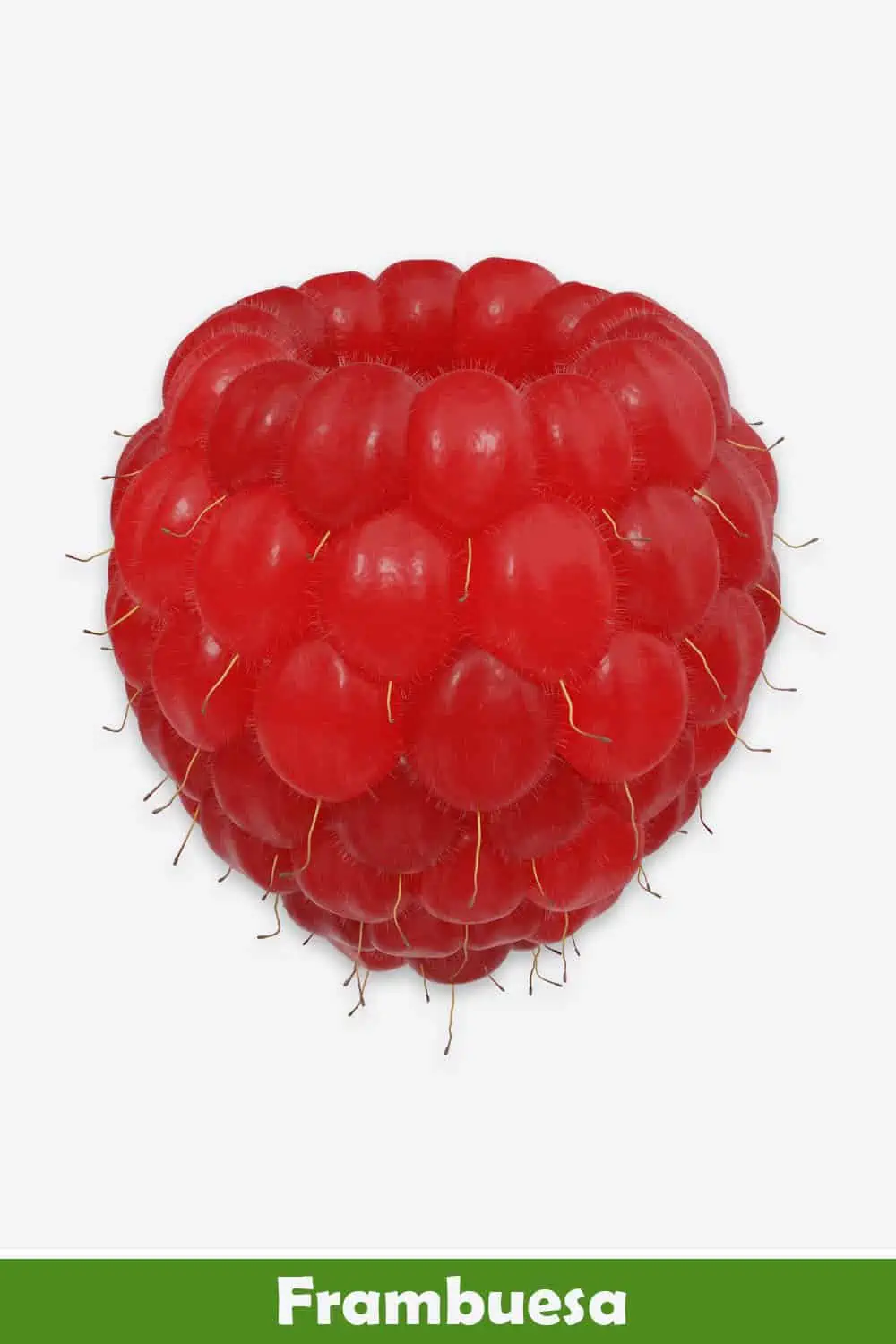 FRAMBUESA